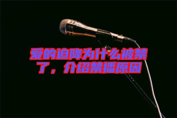 愛的迫降為什么被禁了，介紹禁播原因