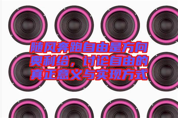 隨風奔跑自由是方向奧利給，討論自由的真正意義與實現方式