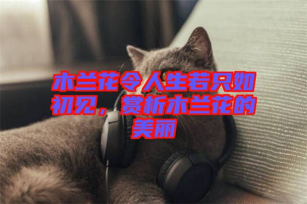 木蘭花令人生若只如初見，賞析木蘭花的美麗