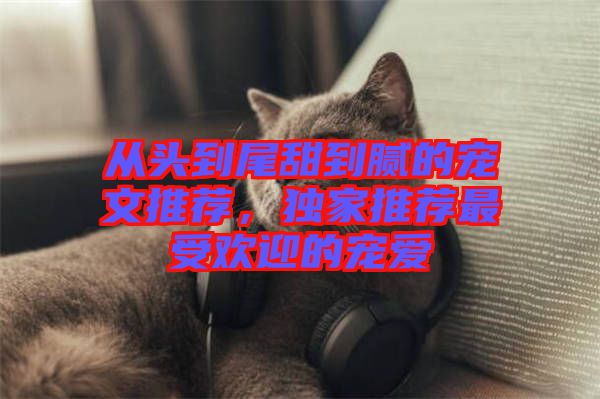 從頭到尾甜到膩的寵文推薦，獨家推薦最受歡迎的寵愛