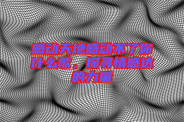 感動(dòng)天地感動(dòng)不了你什么歌，探尋情感達(dá)的力量