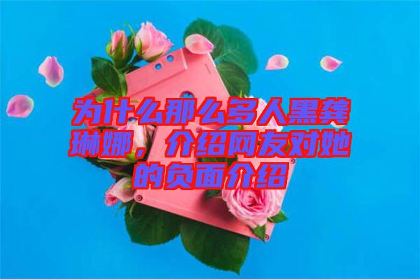 為什么那么多人黑龔琳娜，介紹網友對她的負面介紹