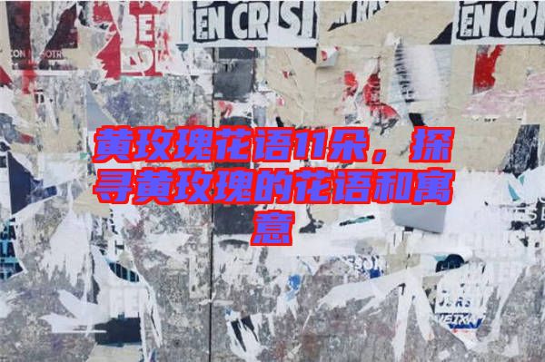 黃玫瑰花語11朵，探尋黃玫瑰的花語和寓意