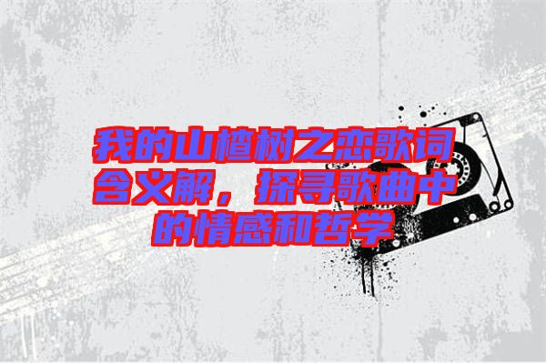 我的山楂樹之戀歌詞含義解，探尋歌曲中的情感和哲學(xué)
