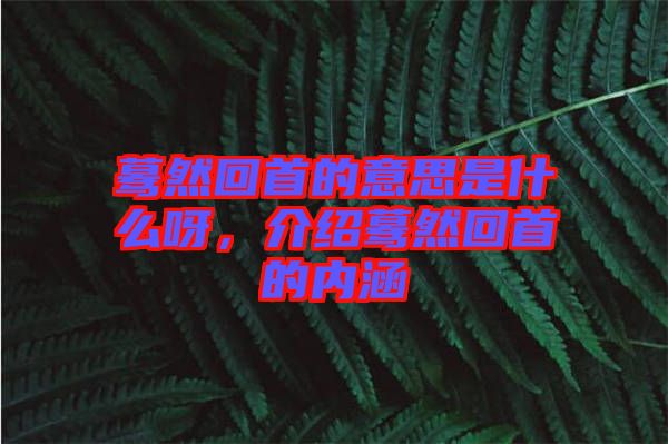 驀然回首的意思是什么呀，介紹驀然回首的內涵