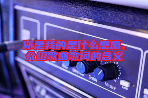 你是我的是什么意思，介紹歌曲歌詞的含義