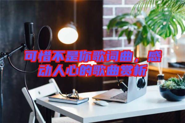 可惜不是你歌詞曲，感動人心的歌曲賞析