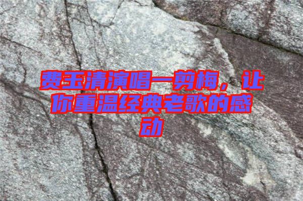 費玉清演唱一剪梅，讓你重溫經典老歌的感動