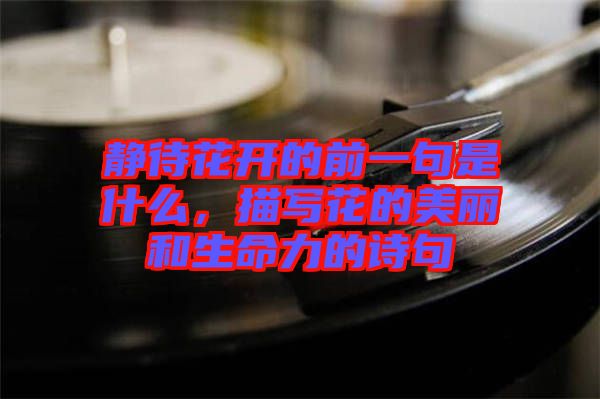 靜待花開的前一句是什么，描寫花的美麗和生命力的詩句