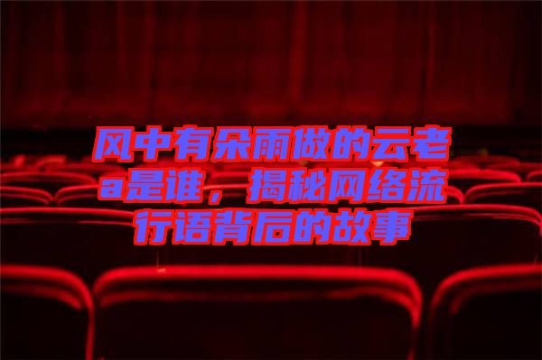 風中有朵雨做的云老a是誰，揭秘網(wǎng)絡流行語背后的故事