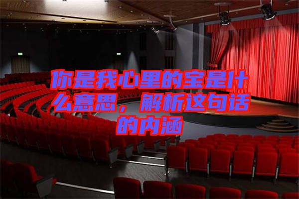 你是我心里的寶是什么意思，解析這句話的內涵