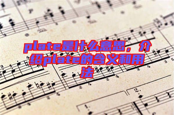 plate是什么意思，介紹plate的含義和用法