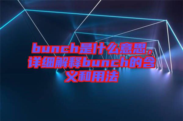 bunch是什么意思，詳細解釋bunch的含義和用法