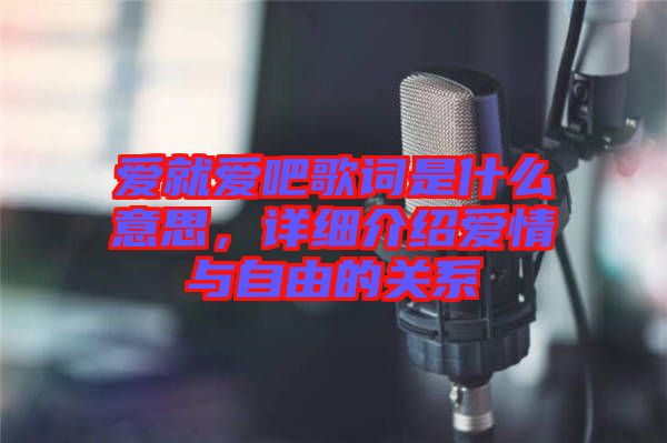 愛就愛吧歌詞是什么意思，詳細(xì)介紹愛情與自由的關(guān)系
