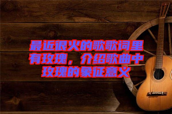 最近很火的歌歌詞里有玫瑰，介紹歌曲中玫瑰的象征意義
