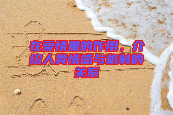 在愛情里的作用，介紹人類情感與機制的關系