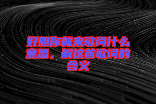 好膽你就來歌詞什么意思，解這首歌詞的含義
