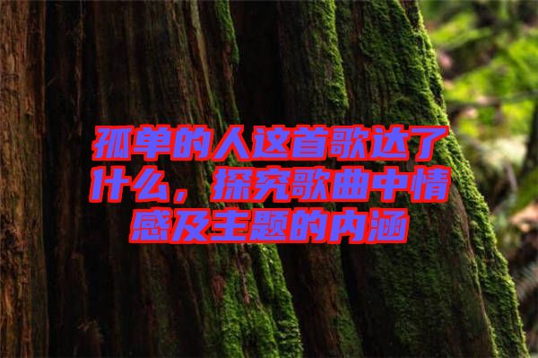 孤單的人這首歌達(dá)了什么，探究歌曲中情感及主題的內(nèi)涵