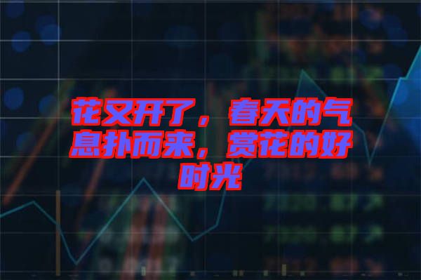 花又開了，春天的氣息撲而來(lái)，賞花的好時(shí)光