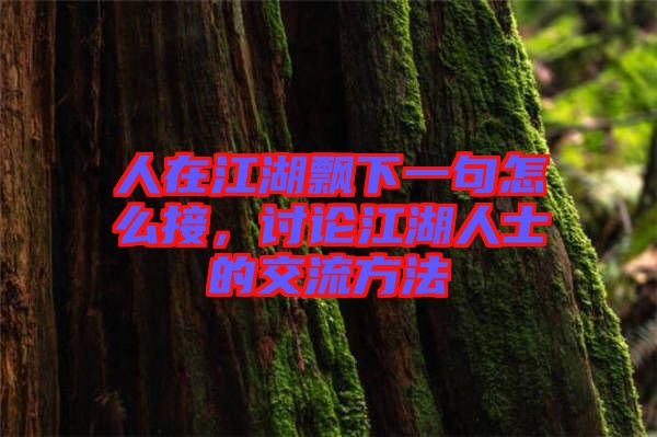 人在江湖飄下一句怎么接，討論江湖人士的交流方法