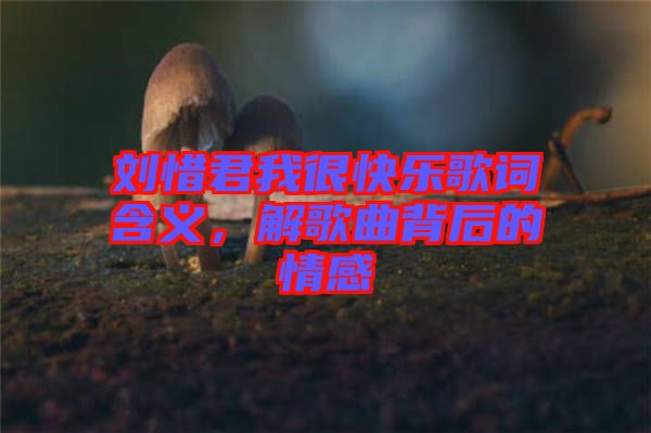 劉惜君我很快樂(lè)歌詞含義，解歌曲背后的情感
