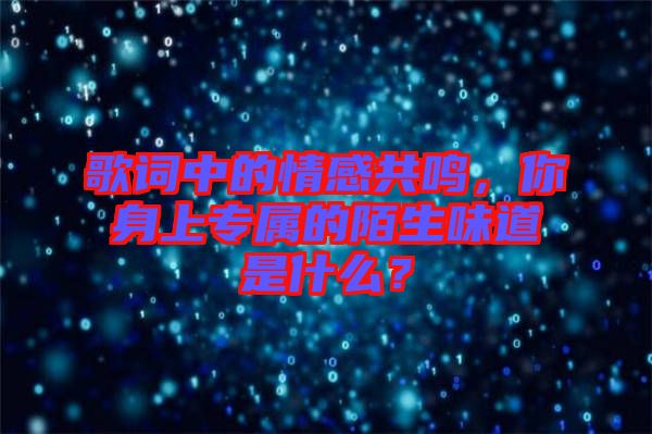 歌詞中的情感共鳴，你身上專屬的陌生味道是什么？