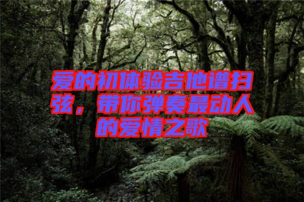 愛的初體驗吉他譜掃弦，帶你彈奏最動人的愛情之歌