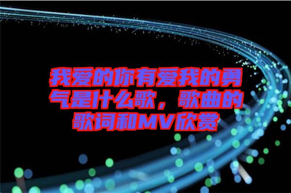 我愛的你有愛我的勇氣是什么歌，歌曲的歌詞和MV欣賞