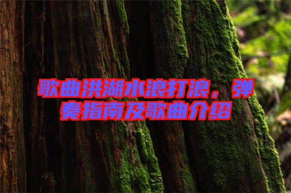 歌曲洪湖水浪打浪，彈奏指南及歌曲介紹