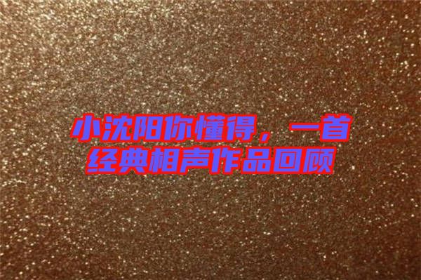 小沈陽(yáng)你懂得，一首經(jīng)典相聲作品回顧