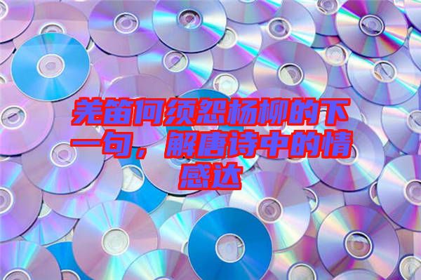 羌笛何須怨楊柳的下一句，解唐詩中的情感達
