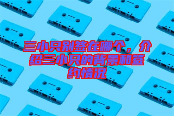 三小只別簽在哪個，介紹三小只的背景和簽約情況