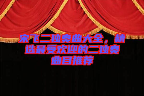 宋飛二獨奏曲大全，精選最受歡迎的二獨奏曲目推薦