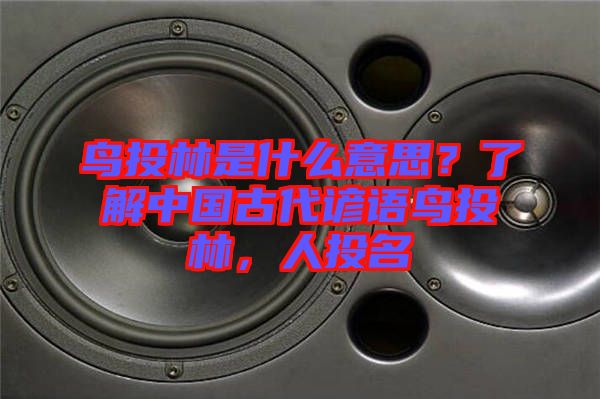 鳥投林是什么意思？了解中國(guó)古代諺語(yǔ)鳥投林，人投名