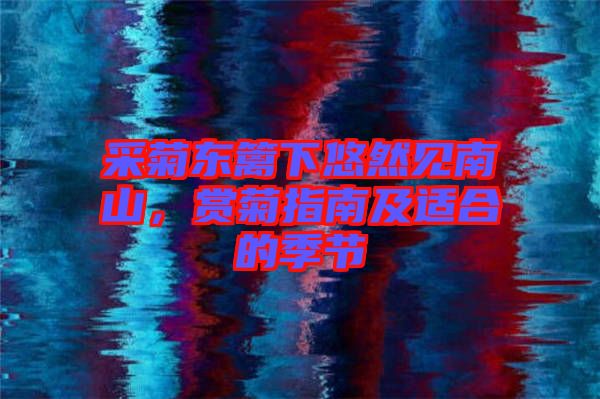 采菊東籬下悠然見南山，賞菊指南及適合的季節(jié)