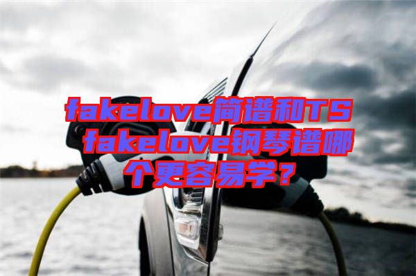fakelove簡譜和TS fakelove鋼琴譜哪個(gè)更容易學(xué)？