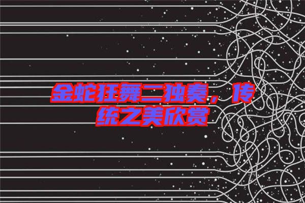 金蛇狂舞二獨(dú)奏，傳統(tǒng)之美欣賞