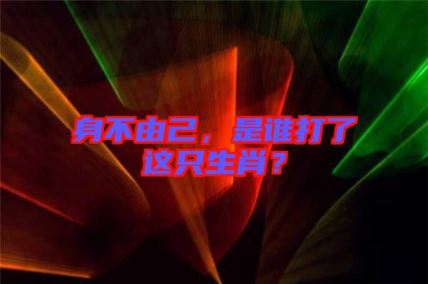 身不由己，是誰打了這只生肖？