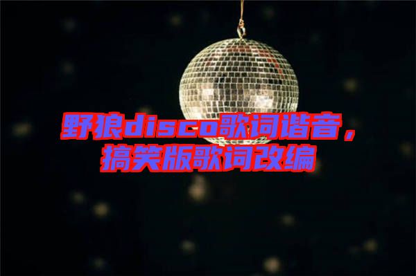 野狼disco歌詞諧音，搞笑版歌詞改編
